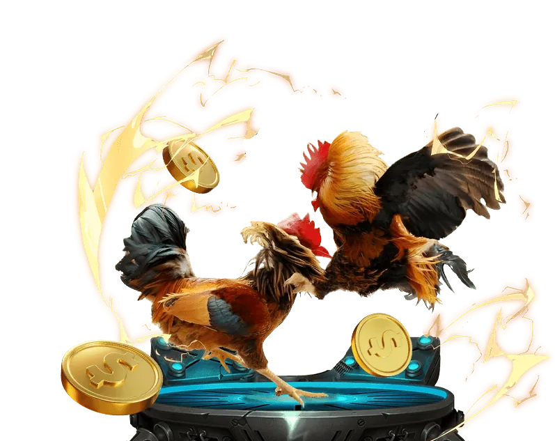 Đá Gà Trực Tuyến Đỉnh Cao vn123